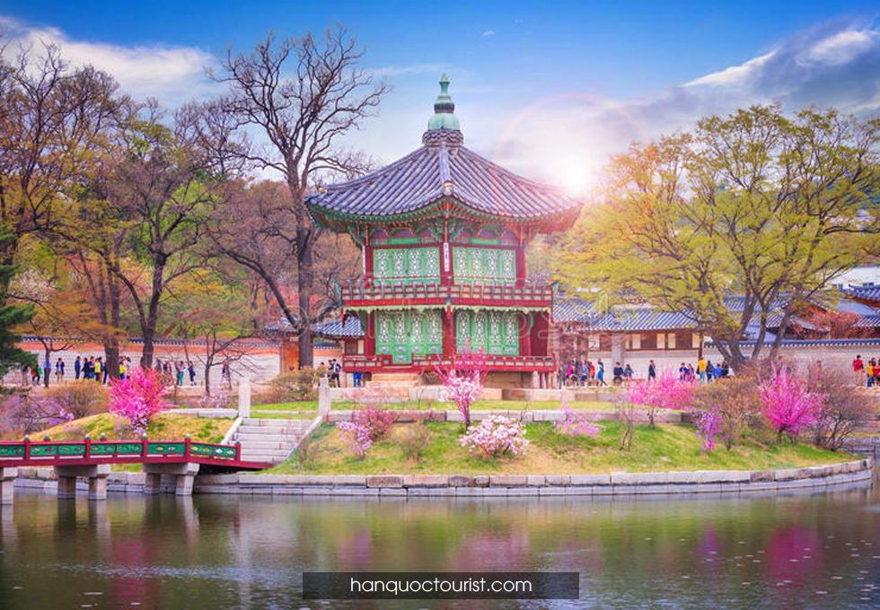 Dịch Vụ Làm Visa Du Lịch Hàn Quốc – Nhật Bản – Úc – Châu Âu Tỷ Lệ Đậu 99%